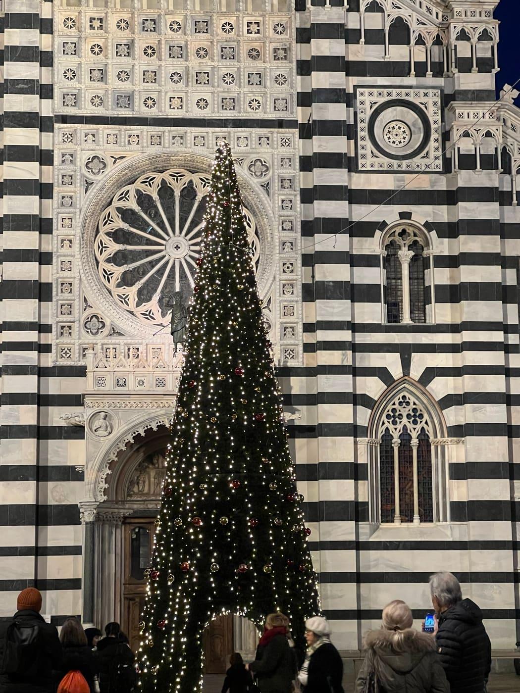 Albero di Natale illuminato davanti alla facciata a fasce bianche e nere di un duomo